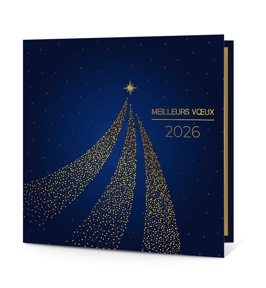 Carte de voeux Noël, étoile filante en pluie de paillettes