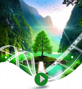 Ecard vidéo nature