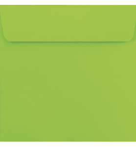 Lot de 25 enveloppes vert pomme carrées