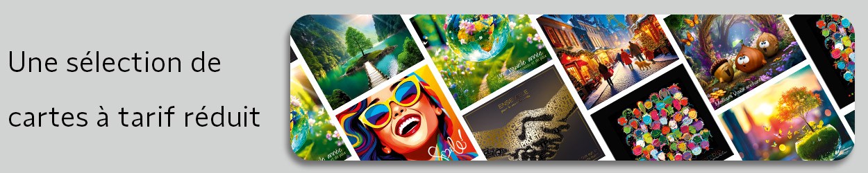 CARTES DE VŒUX PETITS PRIX